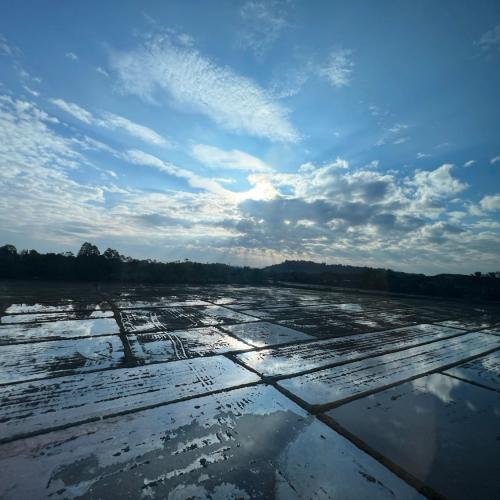 สมาชิกหมายเลข 4834598