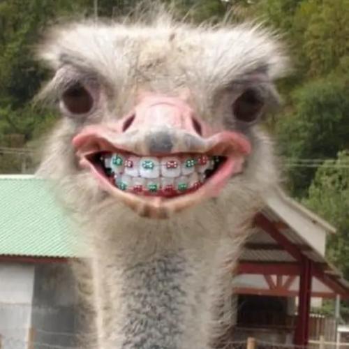 สมาชิกหมายเลข 7103705