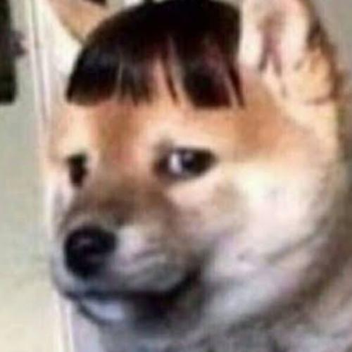 สมาชิกหมายเลข 7445837