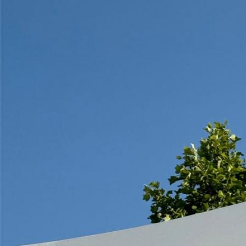 สมาชิกหมายเลข 6941466