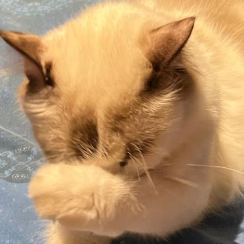 สมาชิกหมายเลข 8340493