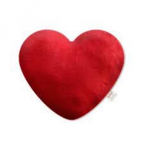 สมาชิกหมายเลข 4753196