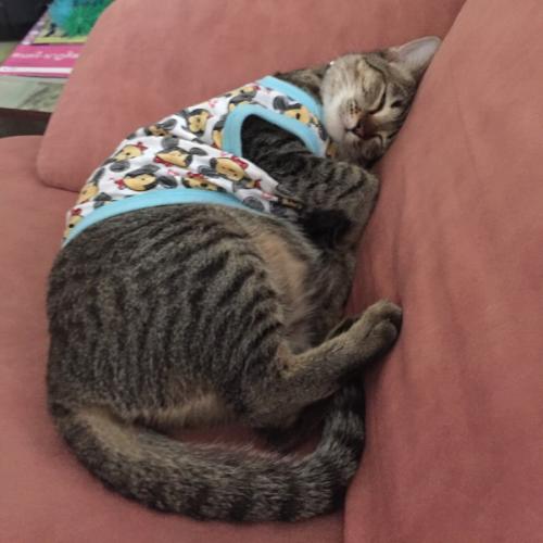 สมาชิกหมายเลข 5128665