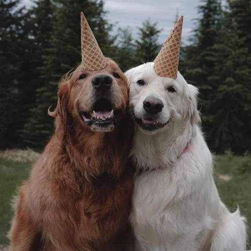 สมาชิกหมายเลข 3524728