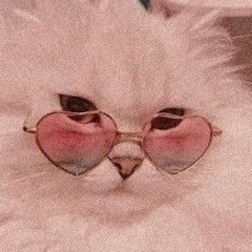 สมาชิกหมายเลข 5031175