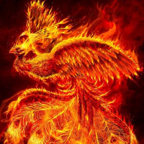 สมาชิกหมายเลข 5891040