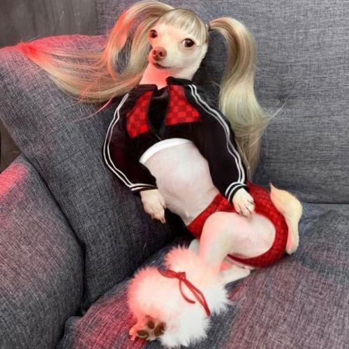 สมาชิกหมายเลข 6456992