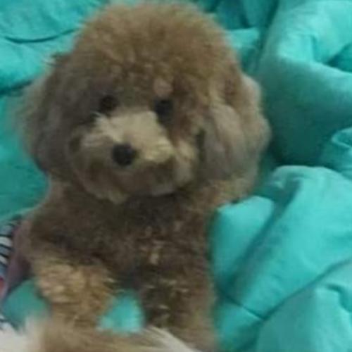 สมาชิกหมายเลข 4965924