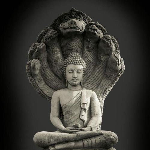 สมาชิกหมายเลข 5366690