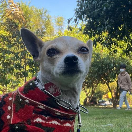 สมาชิกหมายเลข 7377761