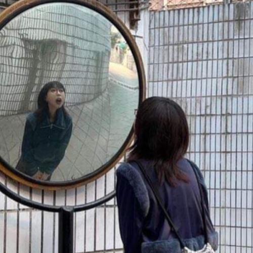 สมาชิกหมายเลข 7424628