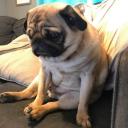 สมาชิกหมายเลข 3095385