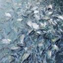 สมาชิกหมายเลข 3540948