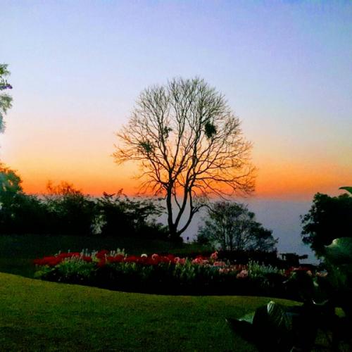 สมาชิกหมายเลข 5123328