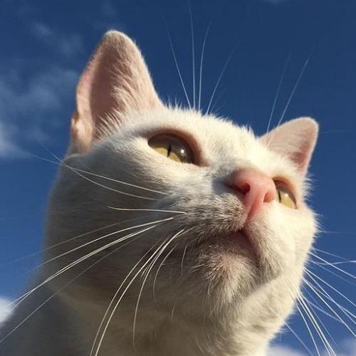 สมาชิกหมายเลข 2328172