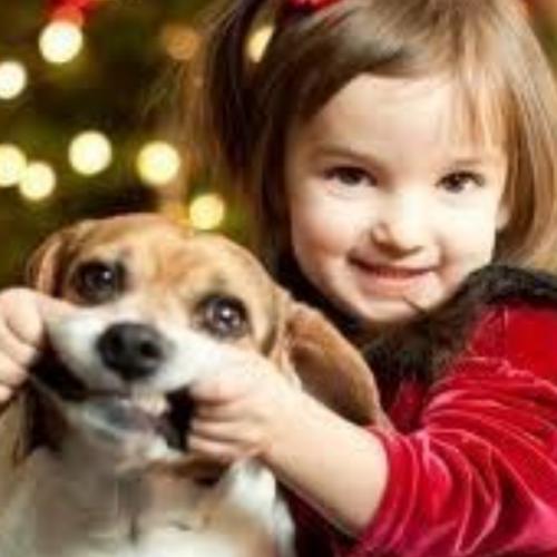 สมาชิกหมายเลข 3324911