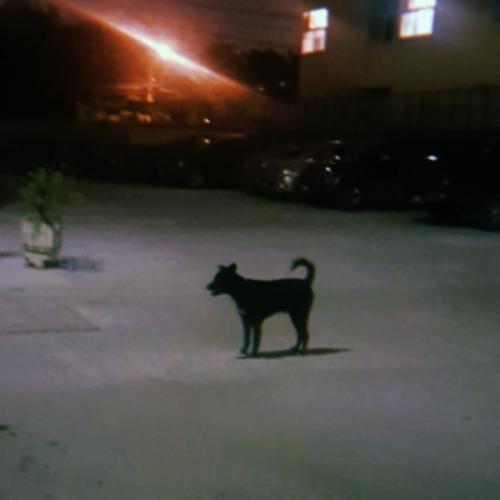 สมาชิกหมายเลข 6685060