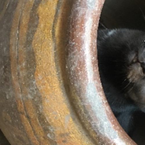 สมาชิกหมายเลข 3217443