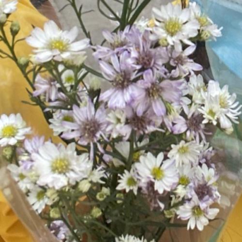 สมาชิกหมายเลข 7265284