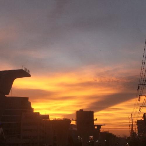 สมาชิกหมายเลข 8340559