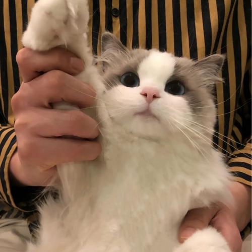 สมาชิกหมายเลข 8342752