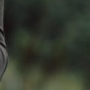 สมาชิกหมายเลข 1391888