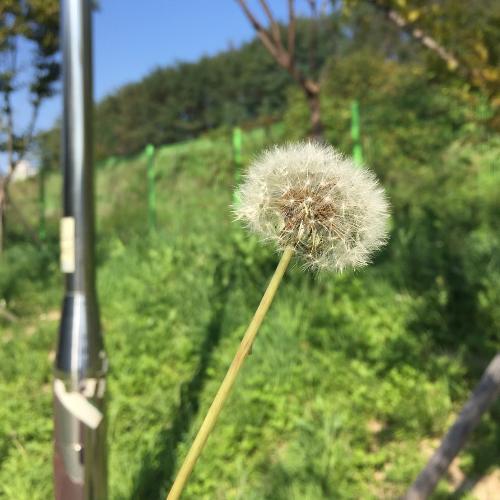 สมาชิกหมายเลข 4399481