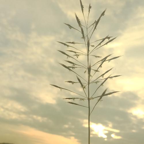 สมาชิกหมายเลข 4600788