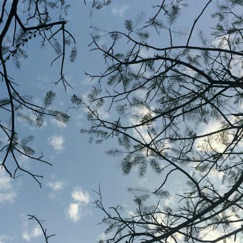 สมาชิกหมายเลข 1899195