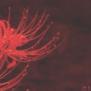 สมาชิกหมายเลข 2581046