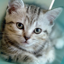 สมาชิกหมายเลข 5128163