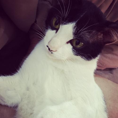 สมาชิกหมายเลข 5523593