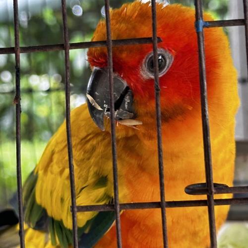 สมาชิกหมายเลข 3251018