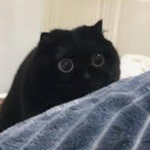 สมาชิกหมายเลข 5969858