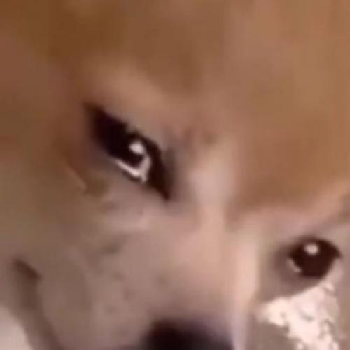 สมาชิกหมายเลข 7739332