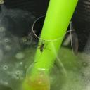 สมาชิกหมายเลข 1881021