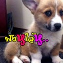 สมาชิกหมายเลข 3593233