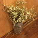 สมาชิกหมายเลข 3902118