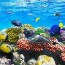 สมาชิกหมายเลข 3924690