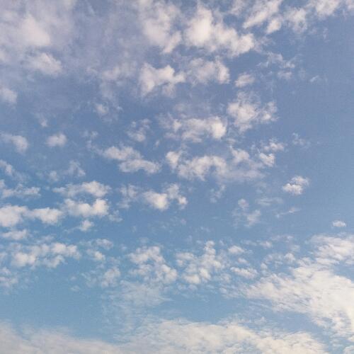 สมาชิกหมายเลข 4250043