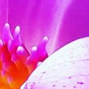 สมาชิกหมายเลข 4399392