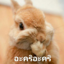 สมาชิกหมายเลข 4400252