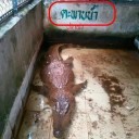 สมาชิกหมายเลข 3924962