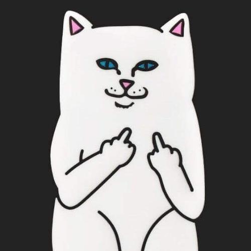 สมาชิกหมายเลข 2019100