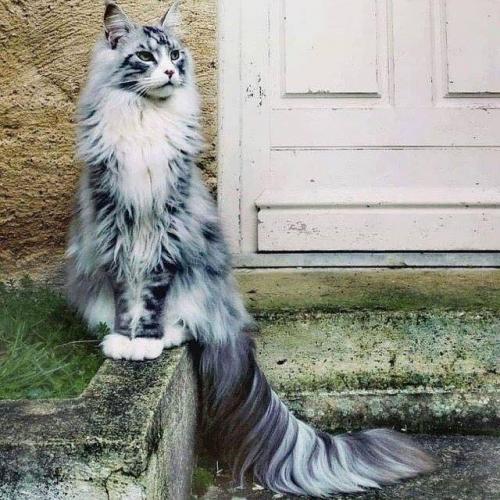 สมาชิกหมายเลข 5129808