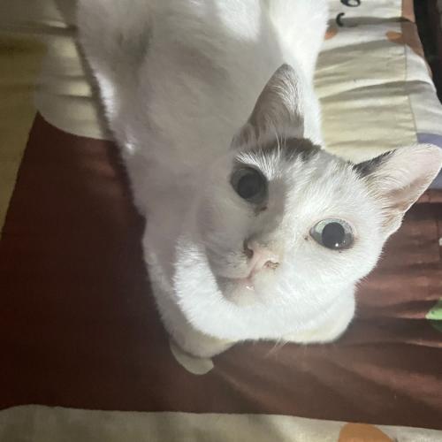 สมาชิกหมายเลข 8218931