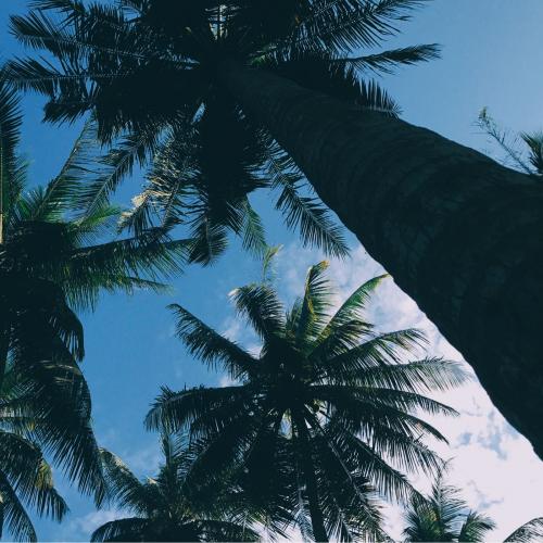 สมาชิกหมายเลข 3925727