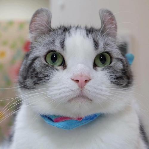 สมาชิกหมายเลข 1211869