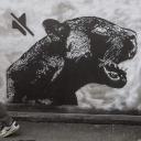 สมาชิกหมายเลข 2096198