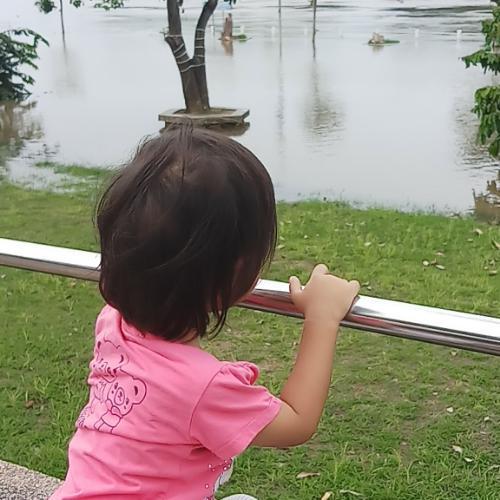 สมาชิกหมายเลข 4755333